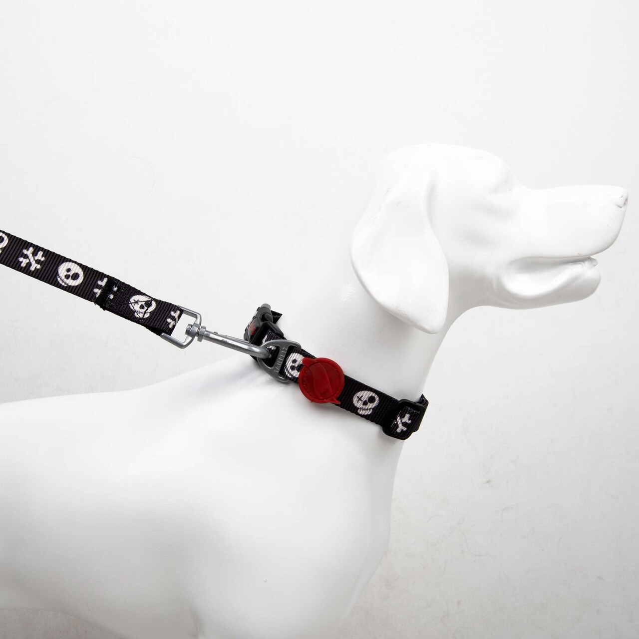 Lesă pentru câini, Paws &amp; Whiskers, Boo Medium, Poliester, Multicolor - imagine 3